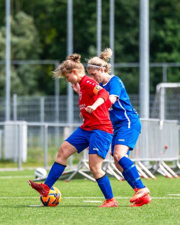 Foto uit het album